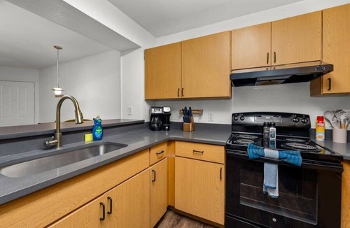 Bearss Plaza Apartment | Elegant retreat w/pool & gym near USF