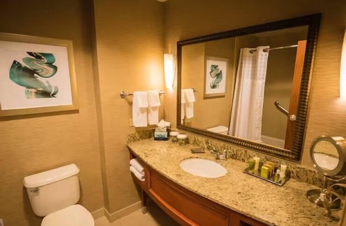 St. Petersburg Hotel | Elegant Stay near Beach & Downtown | Infinity Pool, Tranquil Setting