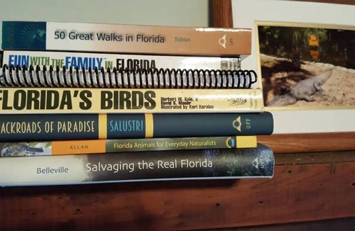 Keystone Cabin | Enjoy a step back in time on an Authentic "Old Florida" Lakefront property.