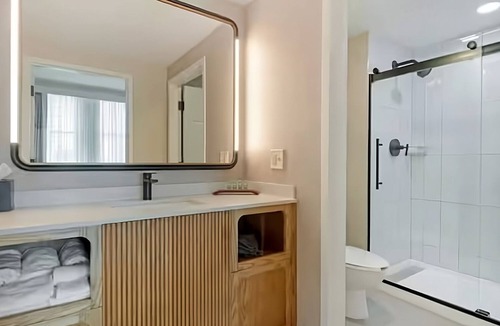 Downtown Tampa Hotel | Explore Tampa: Stay in Modern Luxury! 3 Rooms