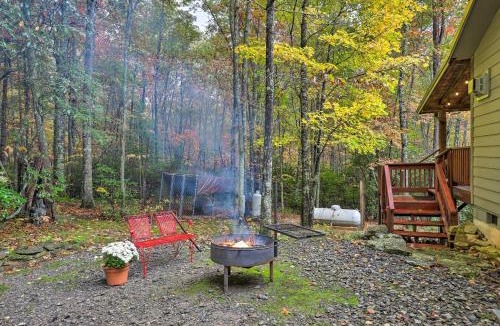 Skyland House | Fletcher Cabin: Wraparound Deck & Pond Access