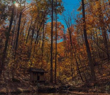 Saluda House | Good Times cabin at Cabin Fever in NC