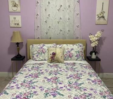 Citrus Park Apartment | Happy Place