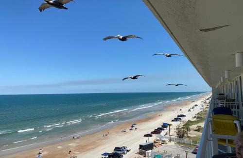 Lenox Park Resort | Harbour Beach Resort - Direct Oceanfront, private balcony !