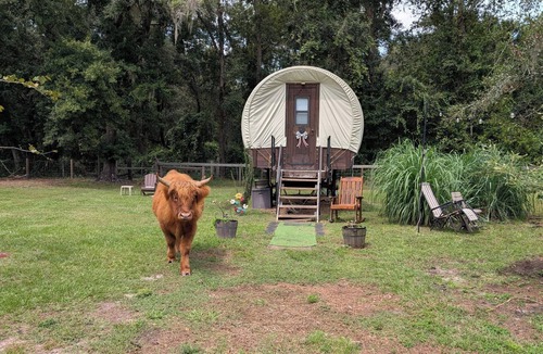 Putnam Hall Cabin | Highland Cow Glamping in a Cozy King Bed Wagon