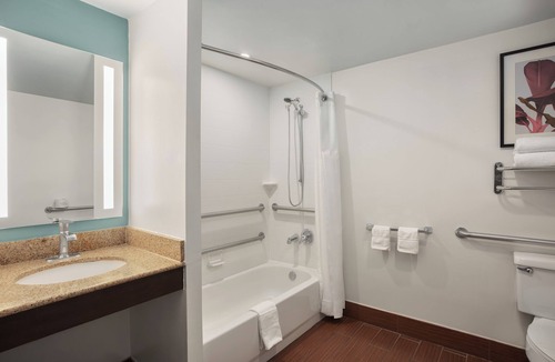 Temple Terrace Hotel | Hilton Garden Inn Tampa North Busch Gardens