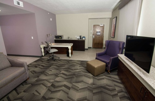 Lutz Hotel | Hilton Garden Inn Tampa Suncoast Parkway