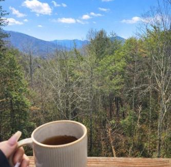 Cullowhee Other | Holly Hideaway