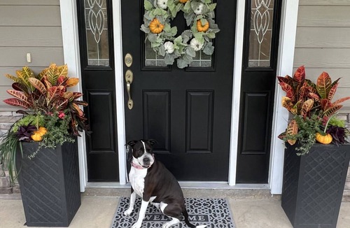 Newberry House | Home for Thanksgiving/Mini O’s Races