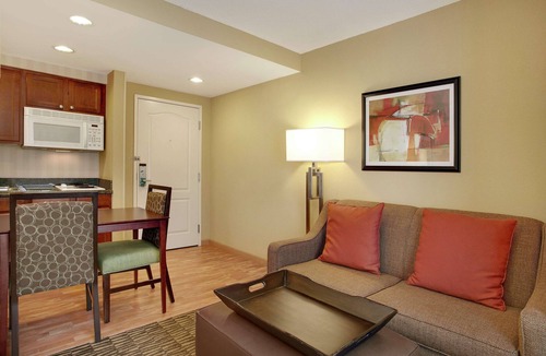 Tampa Hotel | Homewood Suites by Hilton Tampa-Brandon