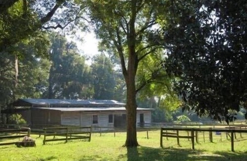 Fellowship House | Horses & Views; Gorgeous Stone Home: 25 acre Ranch, Covered Porch, ages 2+ Ride!