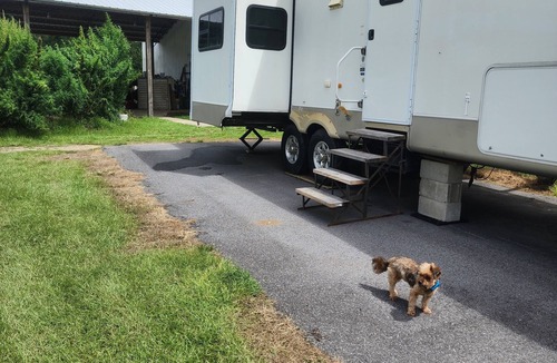 Cottondale RV Rental | Key-stone RV in beautiful campground. we have many Free-range animals