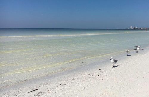 Saint Armands Key House | Kingston Arms 2nd Fl Walk to Beach & St. Armands Circle