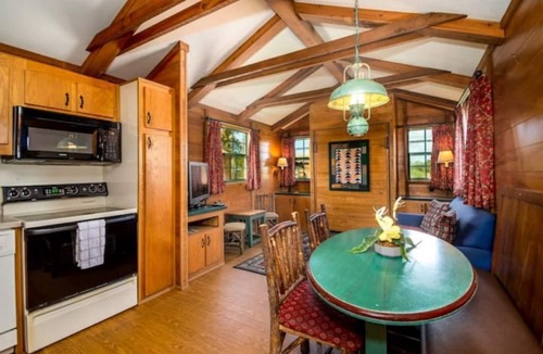 Seminole Cabin | Lakefront Cabin #407, 10mins to Beach/Dog Friendly/Prime Location/BOOK TODAY