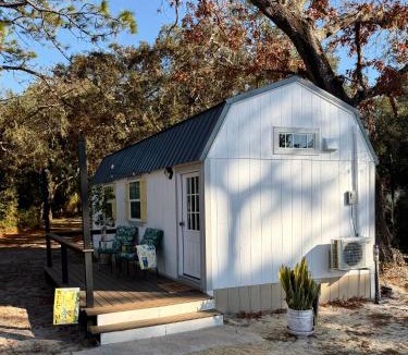 Homosassa House | Lemon Drop
