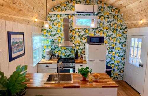 Homosassa House | Lemon Drop