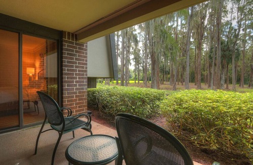 Palm Harbor Condo | Luxury 1BR Condo Near Palm Harbor Beach – Sleeps 4, Gated Community