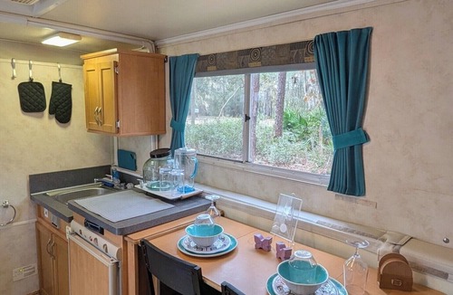 Edgar House | Luxury Camper Under the Stars/Fire Pit, Hammock & Pet-Friendly Retreat