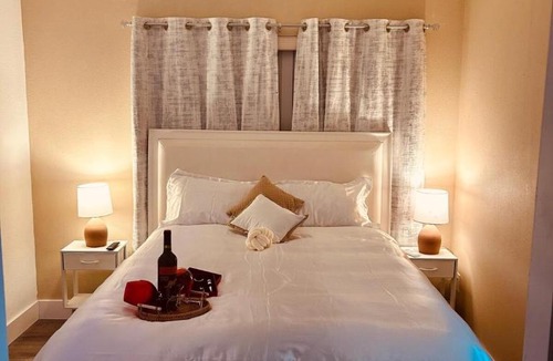 Bearss Plaza Apartment | Modern Private Studio Near USF Busch Gardens