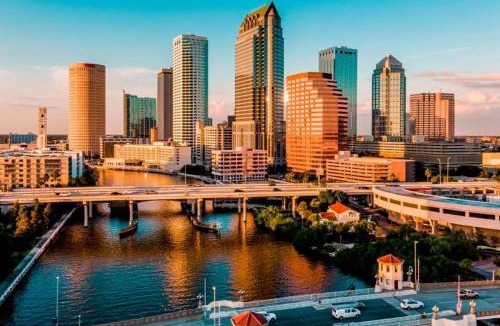 Bearss Plaza House | New Modern 1BR - Near Busch Gardens & Downtown