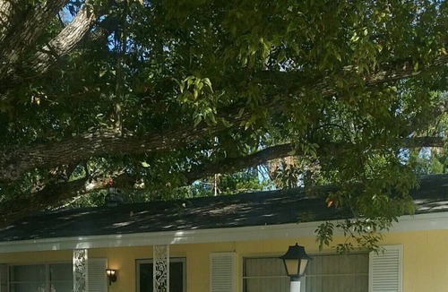 Holly Hill House | Newly Renovated Centrally Located House on a Corner Lot