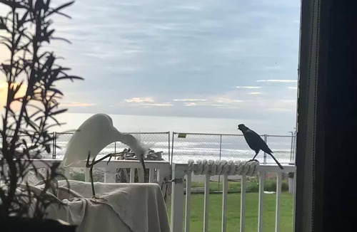 Bostwick Park Condo | Ocean Treasure Chest King Bed Beachfront Condo