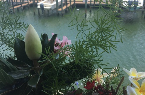 Coquina Key Condo | Panoramic stunning waterfront views of Tampa Bay, updated all including kitchen