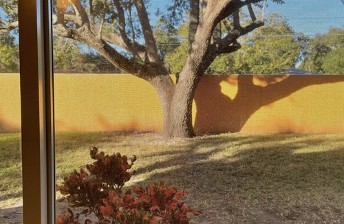 Seminole Condo | Peaceful Paradise 2 - 5 min from beaches
