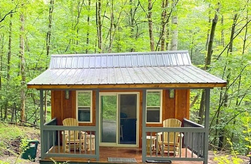 Dailey Cabin | Private Tiny Cabin & Mountain Hiking!