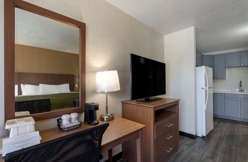 St. Petersburg - Clearwater Hotel | Quality Inn Saint Petersburg North-Tampa Bay
