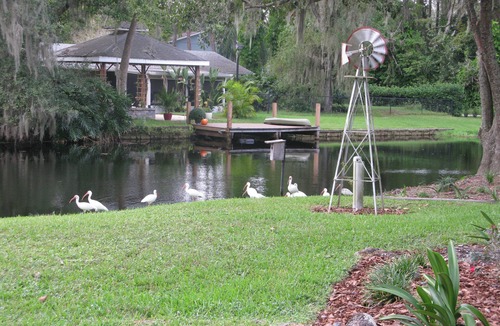 Lutz House | Quiet waterfront haven. Near Moffitt Cancer Center
