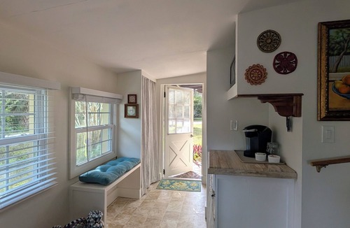 New Smyrna Beach House | Quirky Pine Cottage - Peaceful Mainland Retreat in New Smyrna Beach