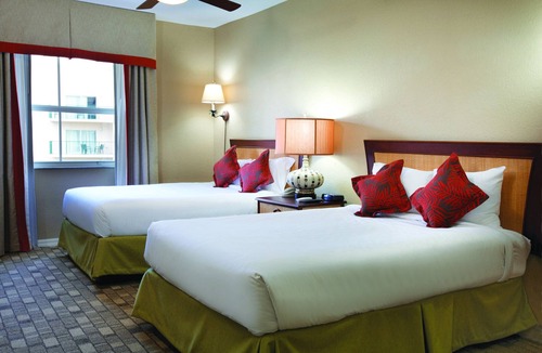 Survey Creek Resort | Relax at our Palm Tree secluded Resort with a poolside bar and waterslide