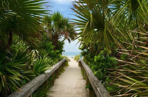 Cocoa Beach Resort | Resort on Cocoa Beach: a 2 bedrooms Ocean View