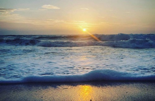 Cocoa Beach Resort | Resort on Cocoa Beach: a 2 bedrooms Ocean View