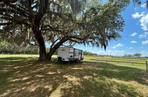 Pittman Other | Rocking Horse Stables