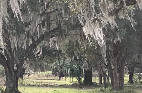 Dunnellon House | Romantic Fifth wheel on paved parking 10 minutes from Rainbow springs