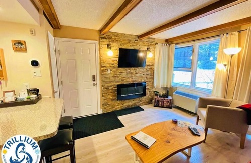 Craigleith Apartment | Rustic Mountainside Chalet