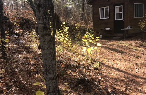 Glenfield Cabin | Rustic Retreat - Private camping, small lake, cabin for sleeping.