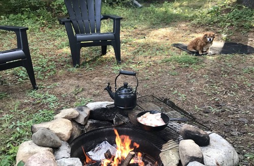 Glenfield Cabin | Rustic Retreat - Private camping, small lake, cabin for sleeping.