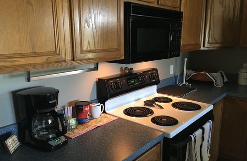 Limona Improvement Cottage | Seasonal Cottage-Brandon Fl. Lake view 813-376-5015