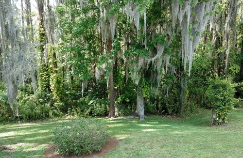 Lutz Condo | Serenity At Paradise Lakes - Clothing optional community