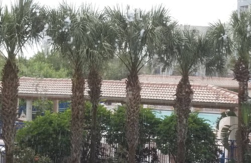 New Smyrna Beach Condo | 🐬 🐬SKIP THE CROWDS , HIT THE BEACH🏖 Walk to POOL, BEACH, amenities Plus