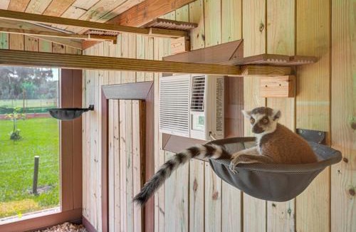 Webster House | Sleep With Sloths & Lemurs! Modern Webster Home