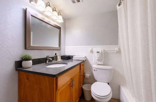 Beach Park Apartment | South Tampa Oasis | Pool, Gym & King Suites