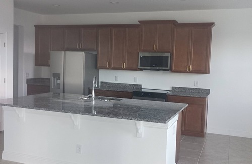 Groveland House | Spacious New 7-bedroom house in beautiful Groveland with AC , gym, pool and park