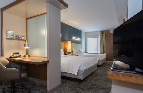 The Vista Hotel | SpringHill Suites by Marriott Columbia Downtown/The Vista