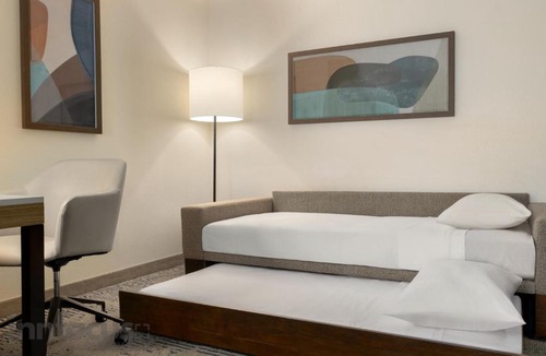 Tampa Hotel | SpringHill Suites by Marriott - Tampa Brandon