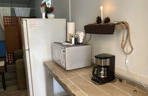 Jungle Terrace Apartment | St. Petersburg - Centrally Located: The Sun & Sand are Waiting for You