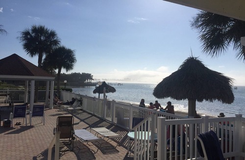Bayview Condo | Steps from your own private beach in St Pete, FL. Minutes from everything !